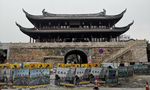 向日葵图片真实照片-向日葵茎图片网 | 向日葵的图片高清大图,向日葵图片真实照片