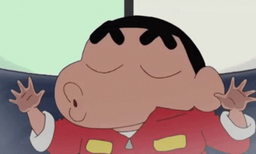 向日葵苗图片-向日葵茎图片网 | 向日葵的图片高清大图,向日葵图片真实照片