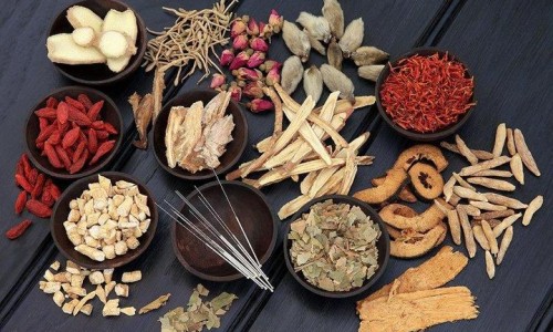 向日葵茎图片网 | 向日葵的图片高清大图,向日葵图片真实照片